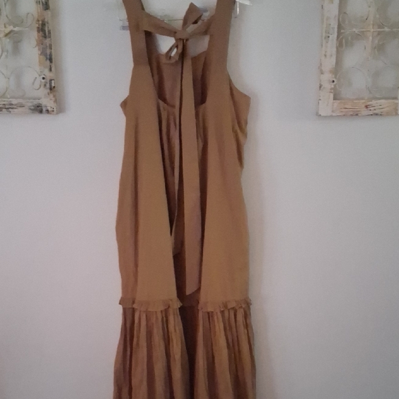 Elegant Tan Sleeveless Dress - Picture 4 of 5